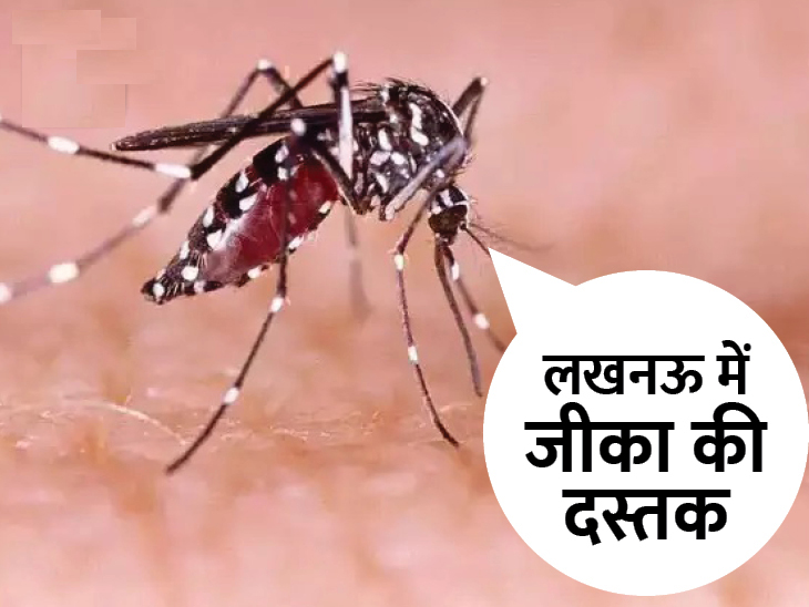 लखनऊ में दो मरीजों में जीका वायरस के संक्रमण की पुष्टि