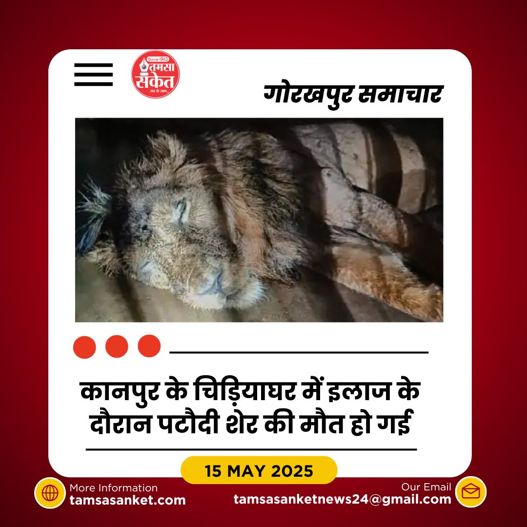 गोरखपुर जू के शेर ‘पटौदी’ की इलाज के दौरान मौत
