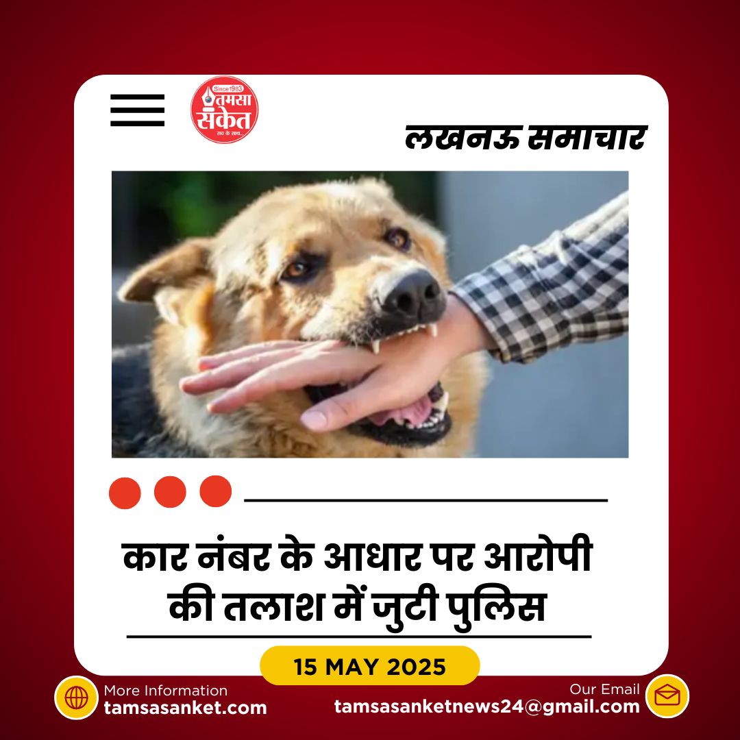 लंच कर रहे युवकों पर पालतू कुत्तों का हमला- विरोध करने पर ईंट से सिर फोड़ा