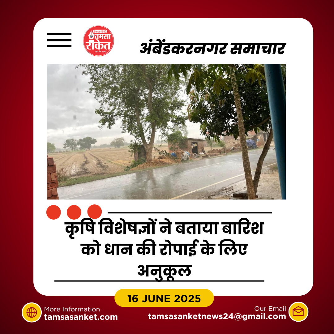 बारिश से मिली राहत- खेतों में लौटी हरियाली की उम्मीद