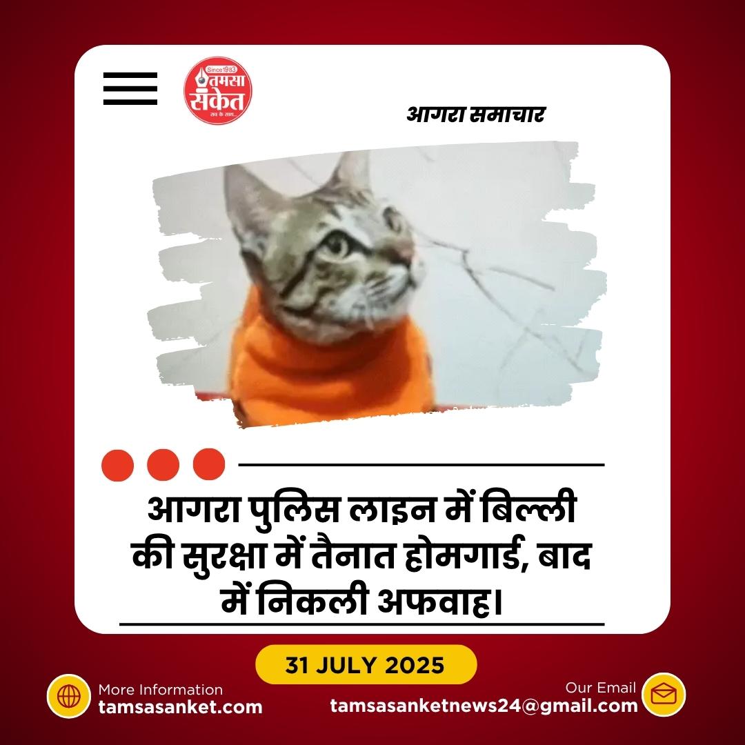 बिल्ली की सुरक्षा में तैनात 4 होमगार्ड- अफवाह निकली SP ट्रैफिक की ‘पालतू’