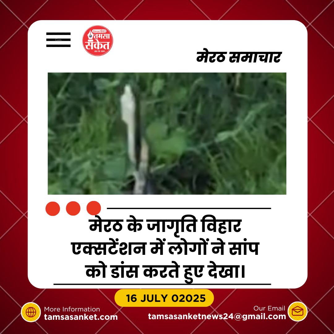 सावन में नाग-नागिन के जोड़े का रोमांचक नृत्य- लोगों में कौतूहल और भय