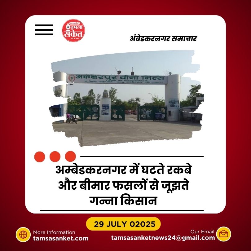 अम्बेडकरनगर में गन्ने की खेती पिछड़ी