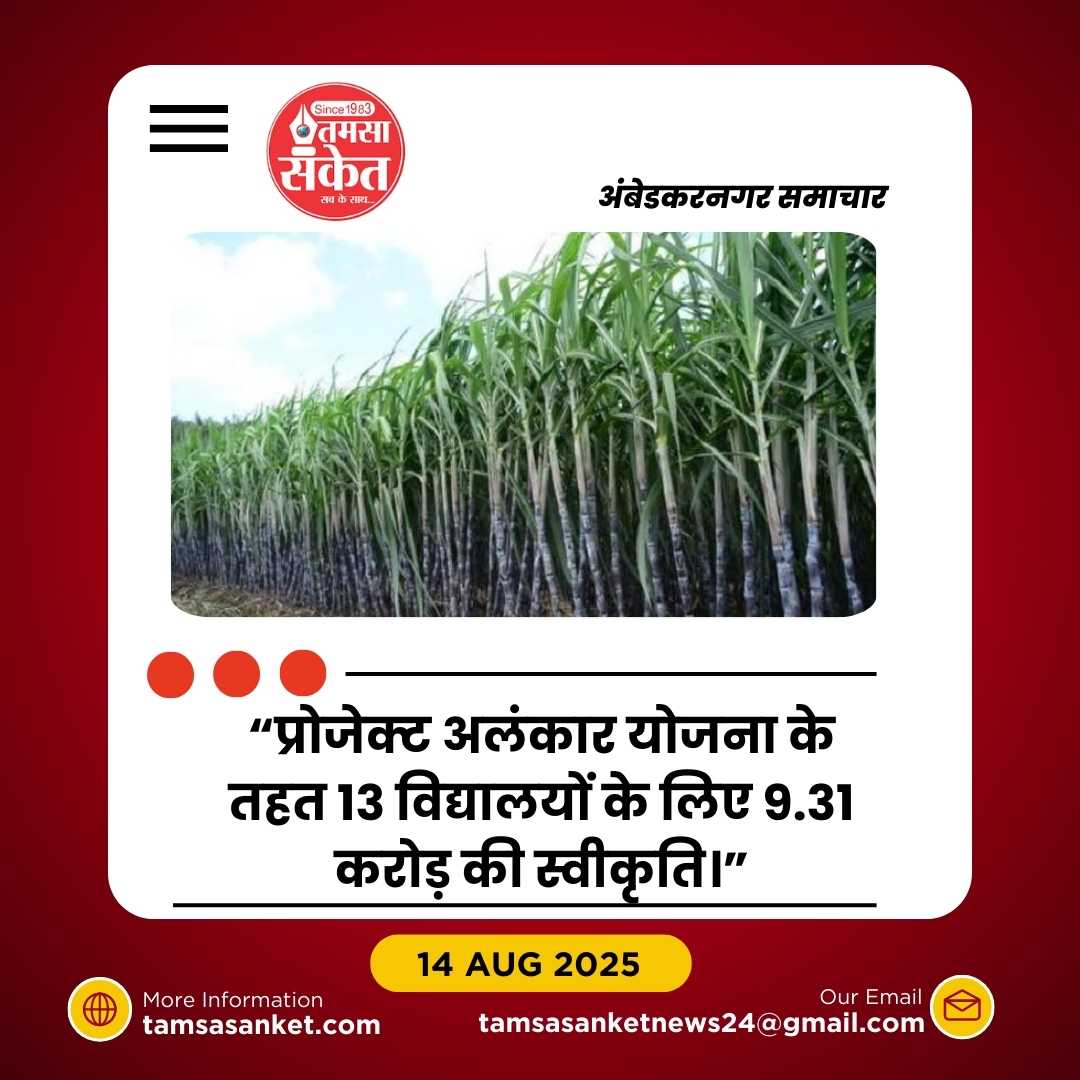 गन्ना फसल पर कीट और रोग का प्रकोप, विभाग अलर्ट मोड में