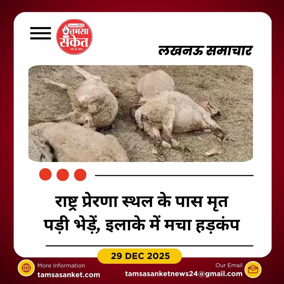 लखनऊ में जहरीला खाना खाने से 170 भेड़ों की मौत, दर्जनों की हालत गंभीर