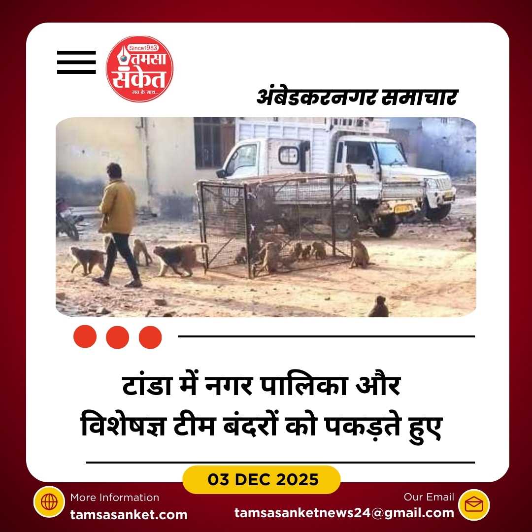 टांडा में बंदरों का बढ़ता आतंक थमा