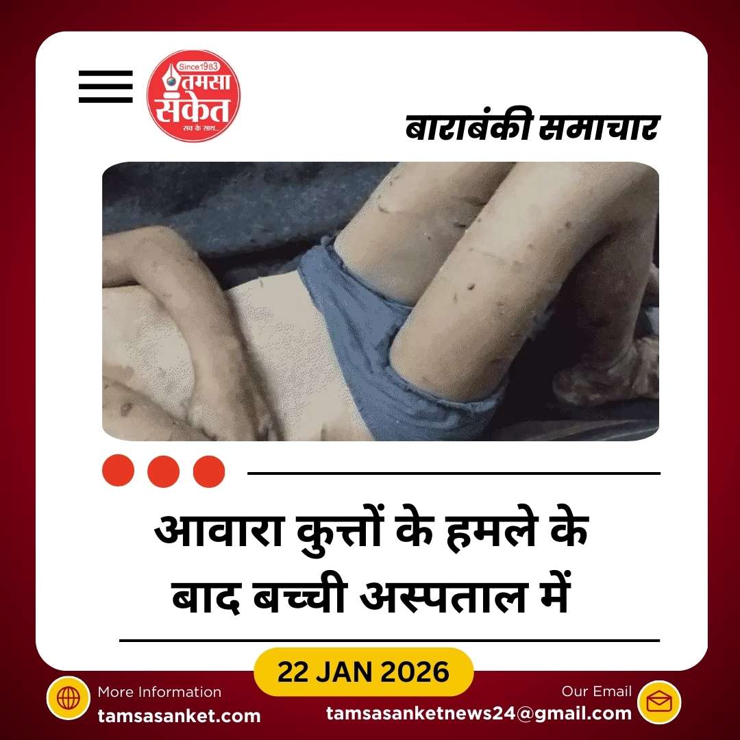 आवारा कुत्तों ने 12 साल की बच्ची पर किया हमला, 100 से अधिक जगह काटा