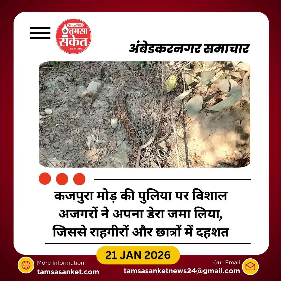 स्कूल के पास अजगरों का बसेरा, बढ़ा खतरा