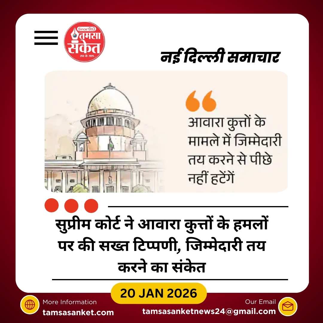 सुप्रीम कोर्ट ने आवारा कुत्तों के हमलों पर जताई सख्त नाराजगी