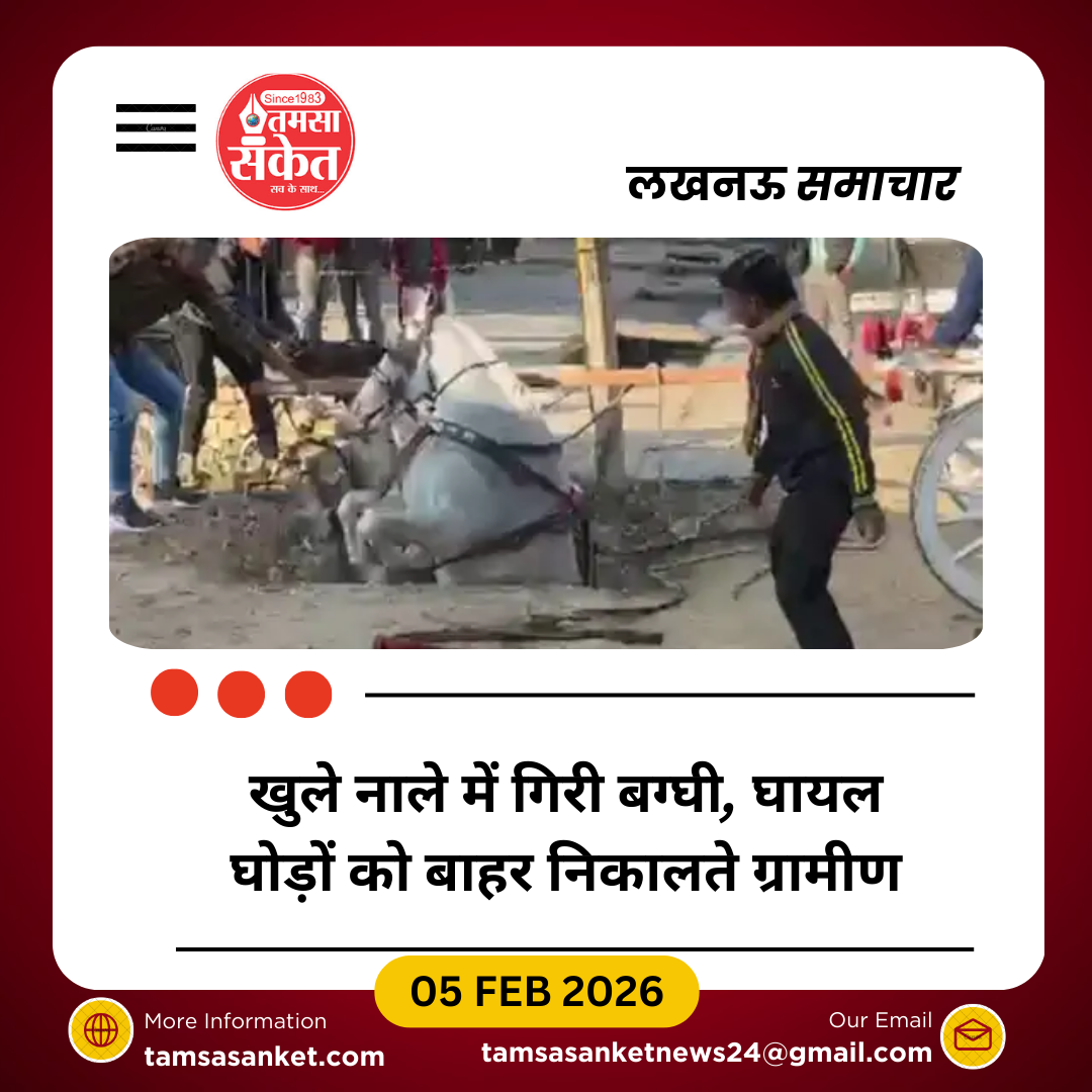 खुले निर्माणाधीन नाले में गिरी बग्घी, दो घोड़े गंभीर घायल