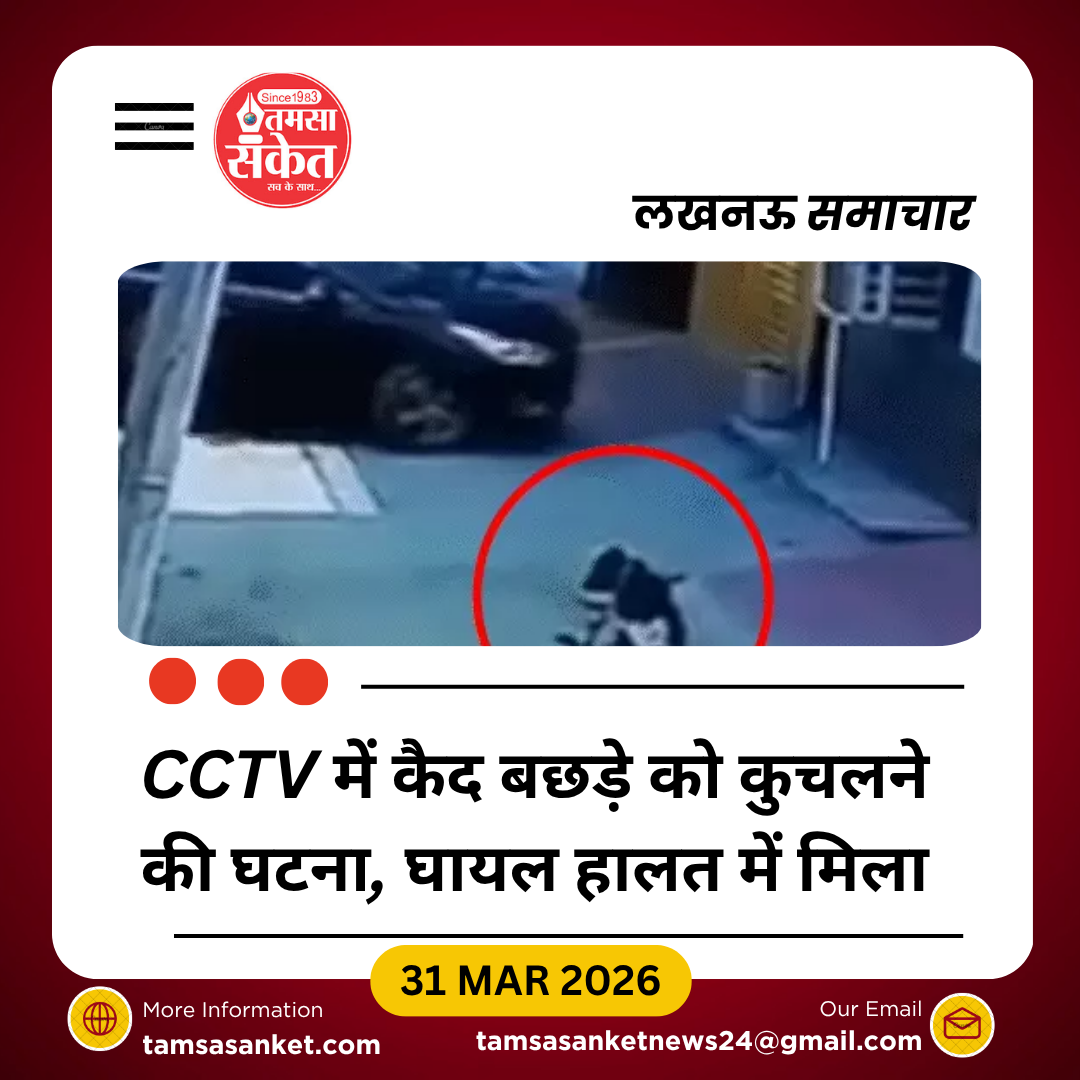 लखनऊ में क्रूरता की हद: बछड़े को कार से कुचलने वाला युवक कैमरे में कैद