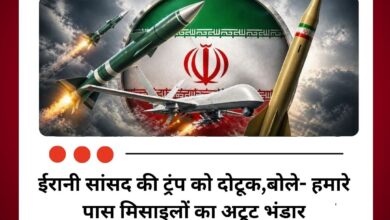 ईरानी सांसद की ट्रंप को दोटूक, बोले- हमारे पास मिसाइलों का अटूट भंडार