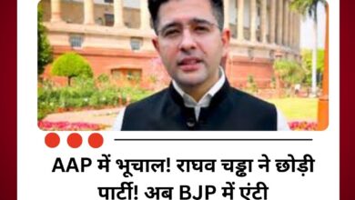 Raghav Chadha Resigns : राघव चड्ढा समेत 3 सासंदों ने AAP का छोड़ा साथ, इस पार्टी में शामिल होने का ऐलान