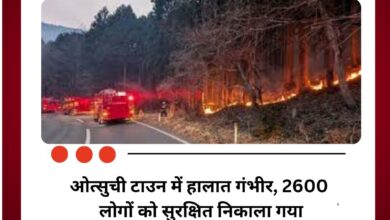 Japan के इवाते में भीषण जंगल की आग से 1200 हेक्टेयर इलाका जलकर खाक