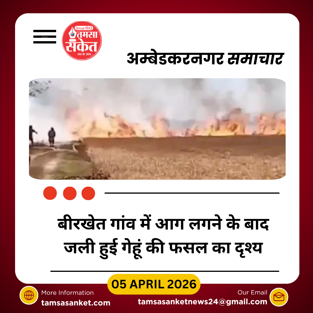 बीरखेत गांव में आग से 10 बीघा गेहूं फसल जली