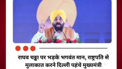 राघव चढ्ढा पर भड़के भगवंत मान, राष्ट्रपति से मुलाकात करने दिल्ली पहंचे मुख्यमंत्री