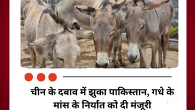 चीन के दबाव में झुका पाकिस्तान, गधे के मांस के निर्यात को दी मंजूरी