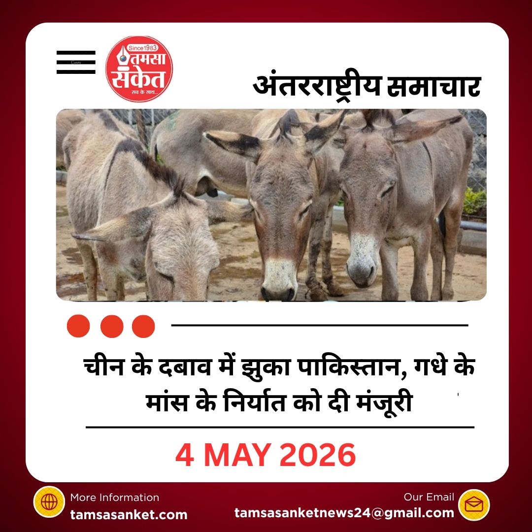 चीन के दबाव में झुका पाकिस्तान, गधे के मांस के निर्यात को दी मंजूरी
