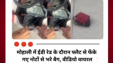 मोहाली में ईडी रेड के दौरान फ्लैट से फेंके गए नोटों से भरे बैग, वीडियो वायरल