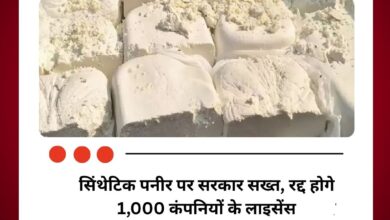 सिंथेटिक पनीर पर सरकार सख्त, रद्द होगे 1,000 कंपनियों के लाइसेंस