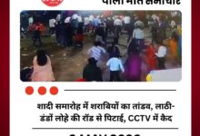 पीलीभीत न्यूज, यूपी क्राइम न्यूज, शादी में मारपीट, वायरल वीडियो, बरखेड़ा थाना, ब्रेकिंग न्यूज