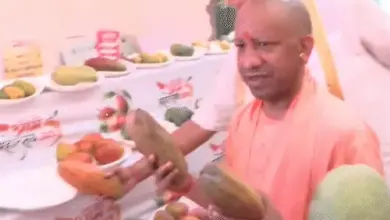 लखनऊ आम महोत्सव में प्रदर्शित आम की विभिन्न किस्मों को देखते मुख्यमंत्री योगी आदित्यनाथ।