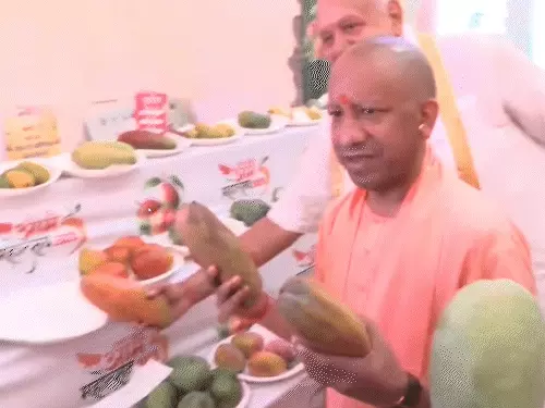 लखनऊ आम महोत्सव में प्रदर्शित आम की विभिन्न किस्मों को देखते मुख्यमंत्री योगी आदित्यनाथ।