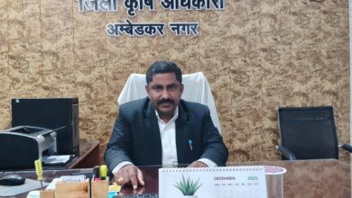 अंबेडकरनगर में किसानों के लिए उपलब्ध उर्वरक स्टॉक का सांकेतिक चित्र।