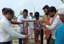 अकबरपुर नगर पालिका द्वारा आयोजित वृक्षारोपण और पेपर बैग जागरूकता अभियान का दृश्य।