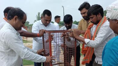 अकबरपुर नगर पालिका द्वारा आयोजित वृक्षारोपण और पेपर बैग जागरूकता अभियान का दृश्य।