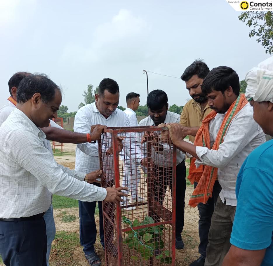 अकबरपुर नगर पालिका द्वारा आयोजित वृक्षारोपण और पेपर बैग जागरूकता अभियान का दृश्य।