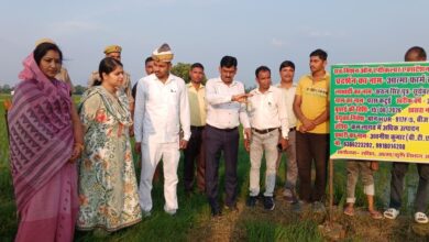 अम्बेडकरनगर के आत्मा फार्म स्कूल में डीएसआर तकनीक से तैयार धान की फसल का निरीक्षण करती जिलाधिकारी ईशा प्रिया और कृषि अधिकारी।