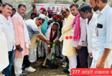 अंबेडकरनगर के कटेहरी में अखिलेश यादव के जन्मदिन पर पौधरोपण कार्यक्रम में शामिल सपा कार्यकर्ता