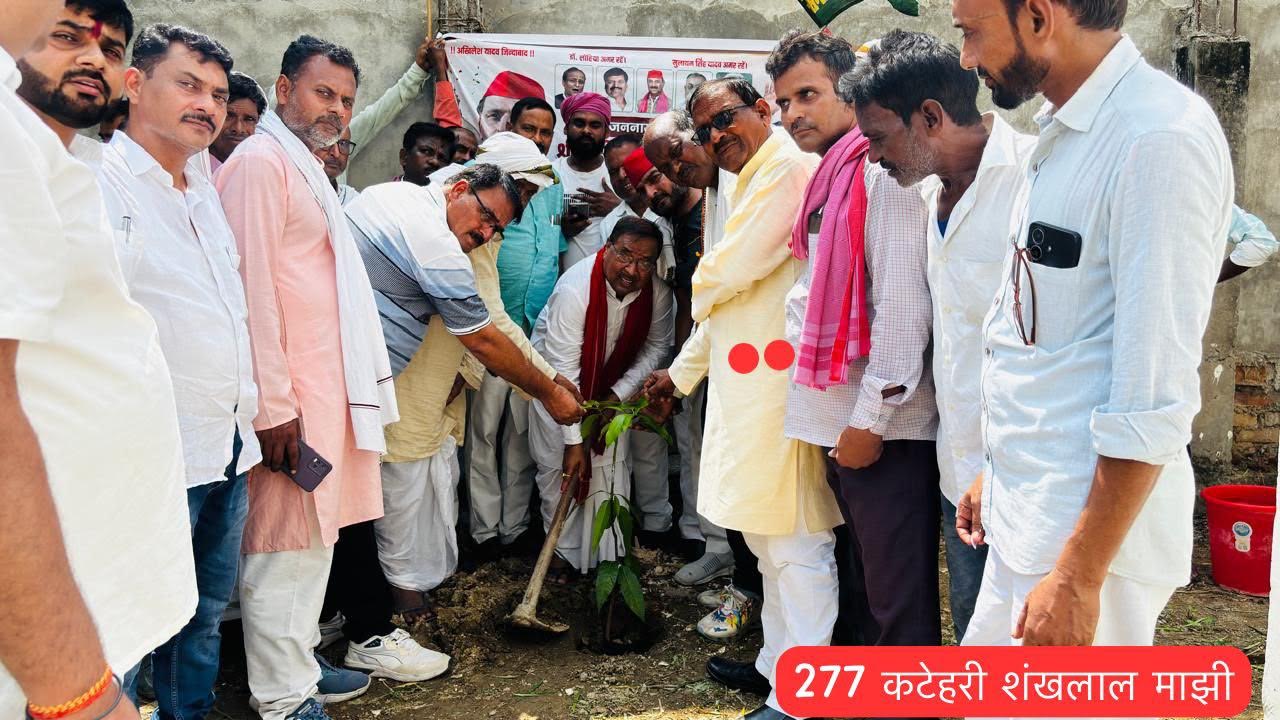 अंबेडकरनगर के कटेहरी में अखिलेश यादव के जन्मदिन पर पौधरोपण कार्यक्रम में शामिल सपा कार्यकर्ता