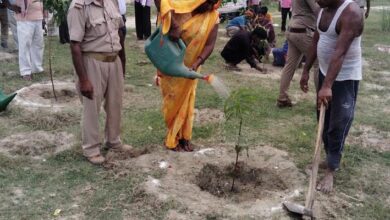 अंबेडकरनगर बसखारी रेंज में वन महोत्सव के तहत पौधरोपण अभियान का दृश्य