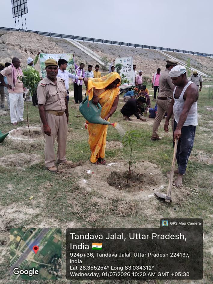 अंबेडकरनगर बसखारी रेंज में वन महोत्सव के तहत पौधरोपण अभियान का दृश्य