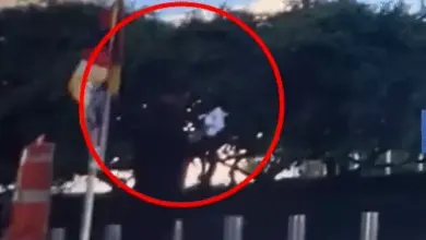 न्यूयॉर्क के संयुक्त राष्ट्र मुख्यालय के बाहर आत्मदाह की घटना के बाद जांच करती पुलिस और सुरक्षा व्यवस्था।