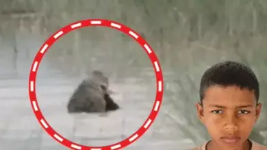 बहराइच में नदी किनारे मगरमच्छ के हमले के बाद घटनास्थल पर मौजूद ग्रामीण और प्रशासनिक टीम।