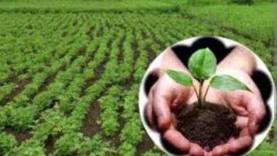 अंबेडकरनगर में प्राकृतिक खेती मिशन के तहत बायो-इनपुट रिसोर्स सेंटर स्थापना की जानकारी।