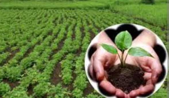 अंबेडकरनगर में प्राकृतिक खेती मिशन के तहत बायो-इनपुट रिसोर्स सेंटर स्थापना की जानकारी।