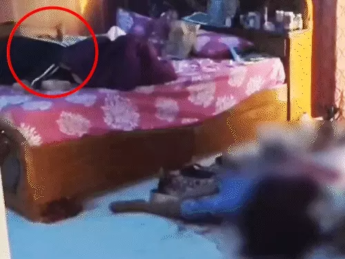 कर्नाटक के धारवाड़ में डॉक्टर की हत्या के बाद जांच करती पुलिस टीम।