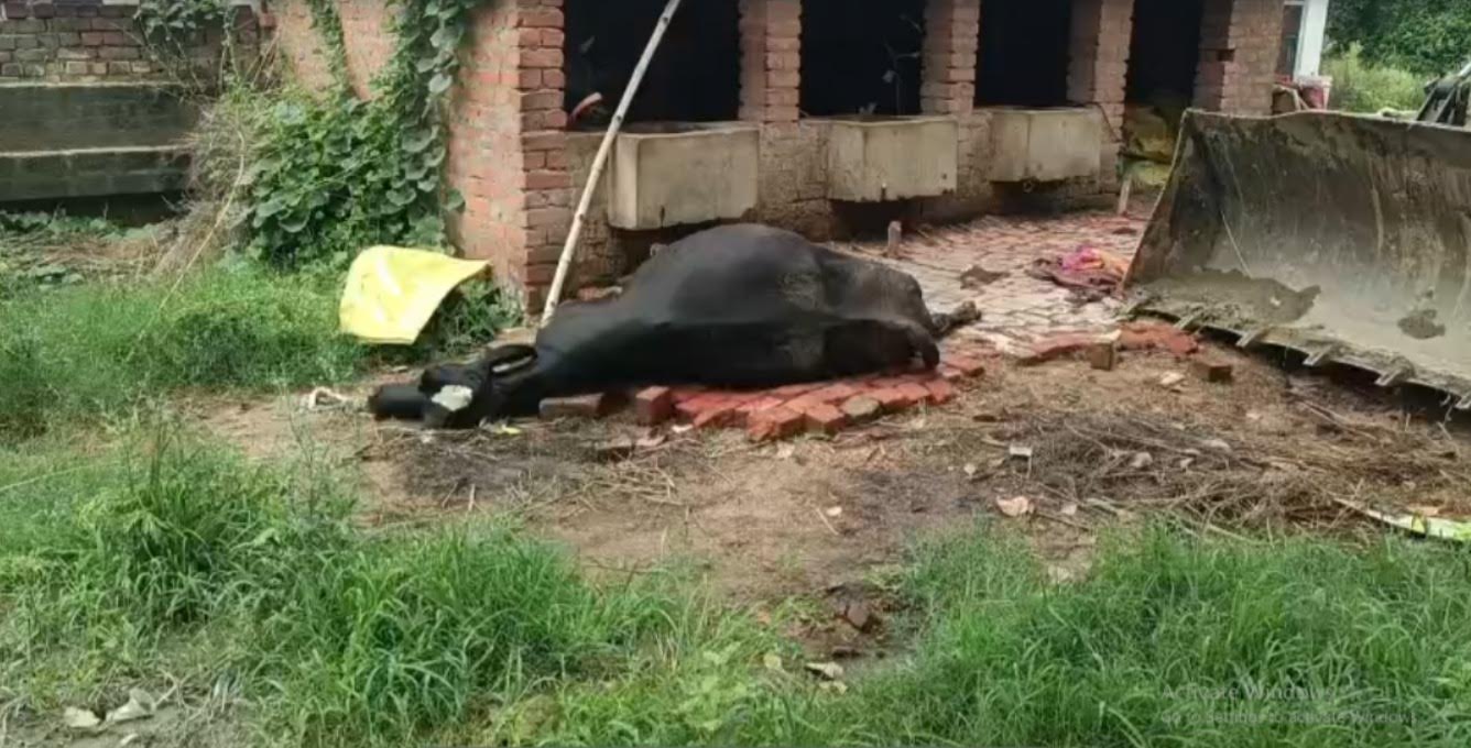 अंबेडकरनगर में टूटी हाईटेंशन बिजली लाइन के बाद घटनास्थल का दृश्य।