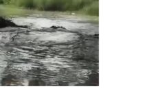 अम्बेडकरनगर के जलालपुर क्षेत्र में नहर की पटरी कटने के बाद खेतों में भरे पानी और बचाव कार्य में जुटे ग्रामीण।