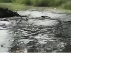 अम्बेडकरनगर के जलालपुर क्षेत्र में नहर की पटरी कटने के बाद खेतों में भरे पानी और बचाव कार्य में जुटे ग्रामीण।