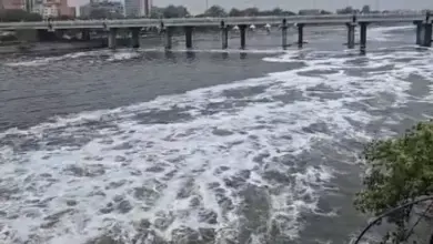लखनऊ की गोमती नदी में बारिश के बाद प्रदूषण के कारण बनी सफेद झाग की परत का दृश्य।