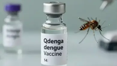 भारत की पहली मंजूर डेंगू वैक्सीन QDENGA की शीशी और इंजेक्शन।