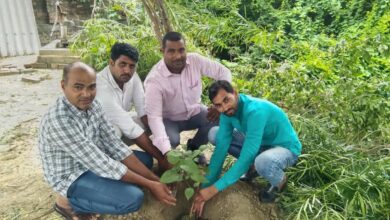 अंबेडकरनगर के रामनगर में आयोजित पौधारोपण अभियान की प्रतीकात्मक तस्वीर।