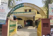 कीटनाशक विक्रेताओं के लिए IPMS पोर्टल पर ऑनलाइन पंजीकरण का सांकेतिक चित्र।