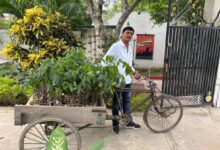 अंबेडकरनगर के लोक विरासत परिसर में पर्यावरण संरक्षण अभियान के तहत पौधरोपण करते सामाजिक संगठन के सदस्य।