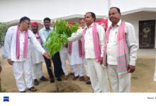 अखिलेश यादव के जन्मदिन पर सपा का वृक्षारोपण अभियान